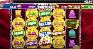 Explore as vantagens do 79r: serviço profissional e confiabilidade