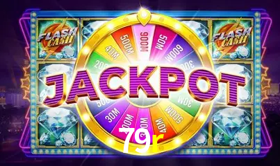 Interface Premium 79r